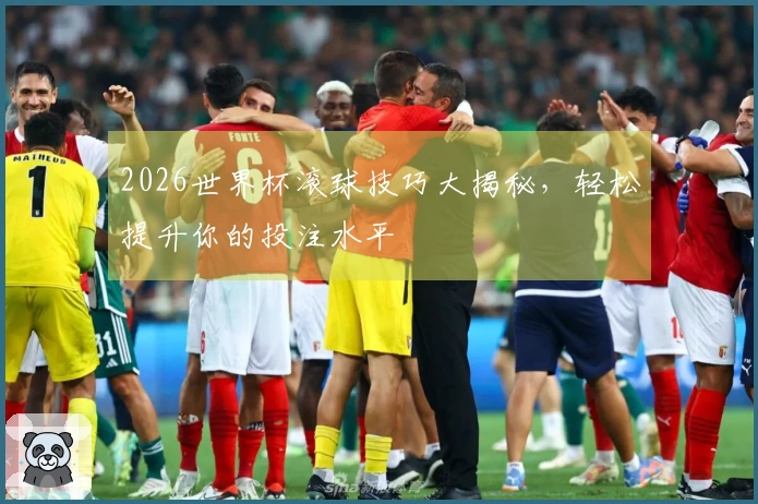 2026世界杯滚球技巧大揭秘，轻松提升你的投注水平