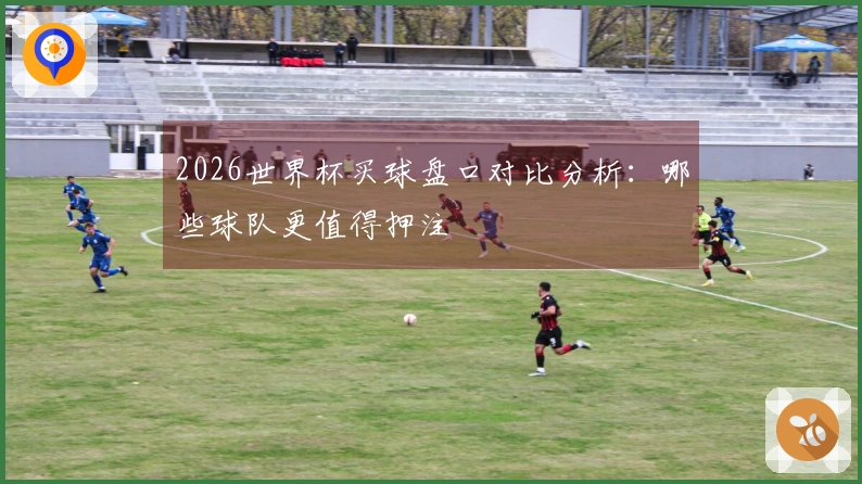 2026世界杯买球盘口对比分析：哪些球队更值得押注