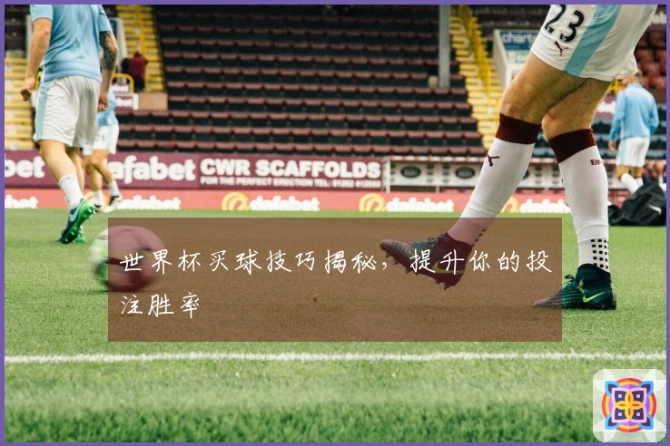 世界杯买球技巧揭秘，提升你的投注胜率