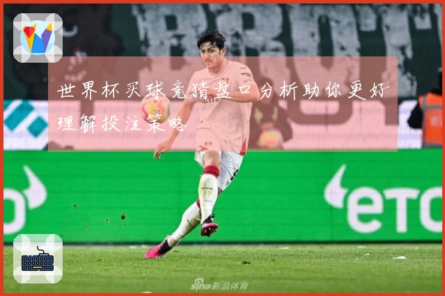 世界杯买球竞猜盘口分析助你更好理解投注策略