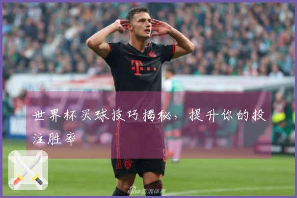 世界杯买球技巧揭秘，提升你的投注胜率